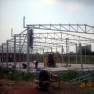 fortex